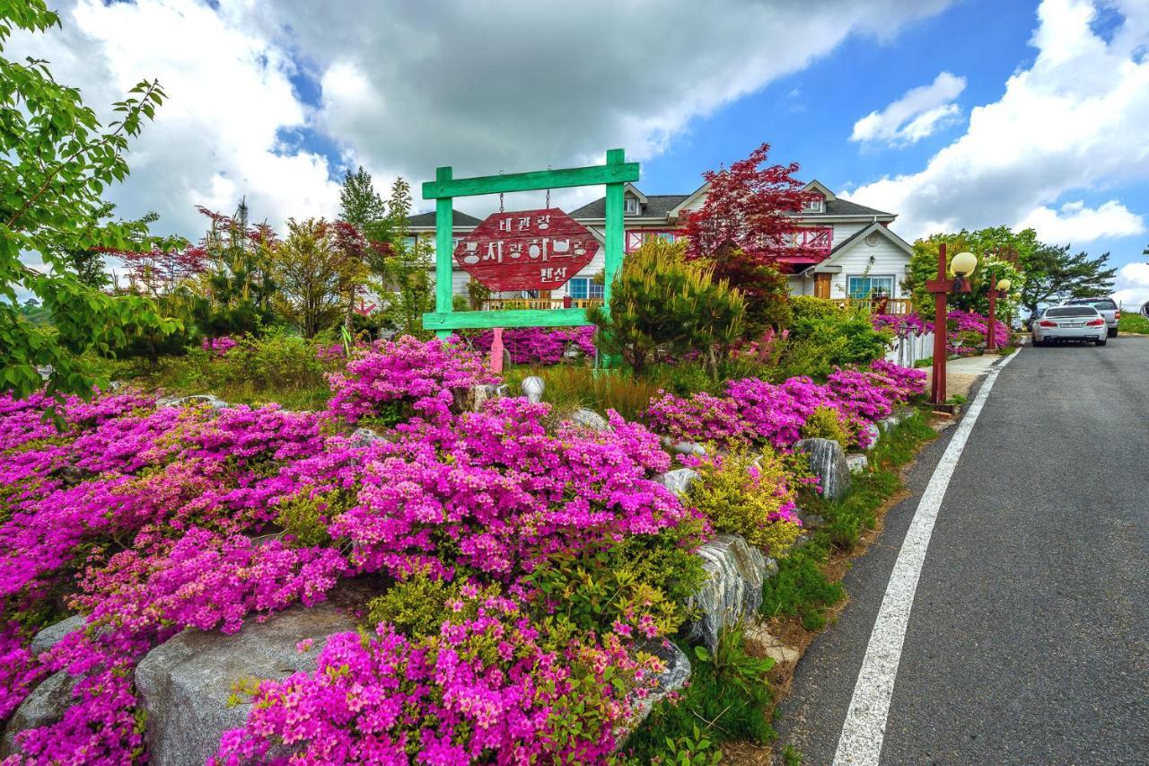Pungcha & Herb Pension Pyeongchang Exterior photo