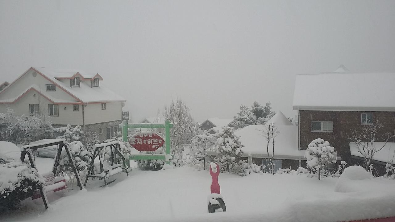Pungcha & Herb Pension Pyeongchang Exterior photo